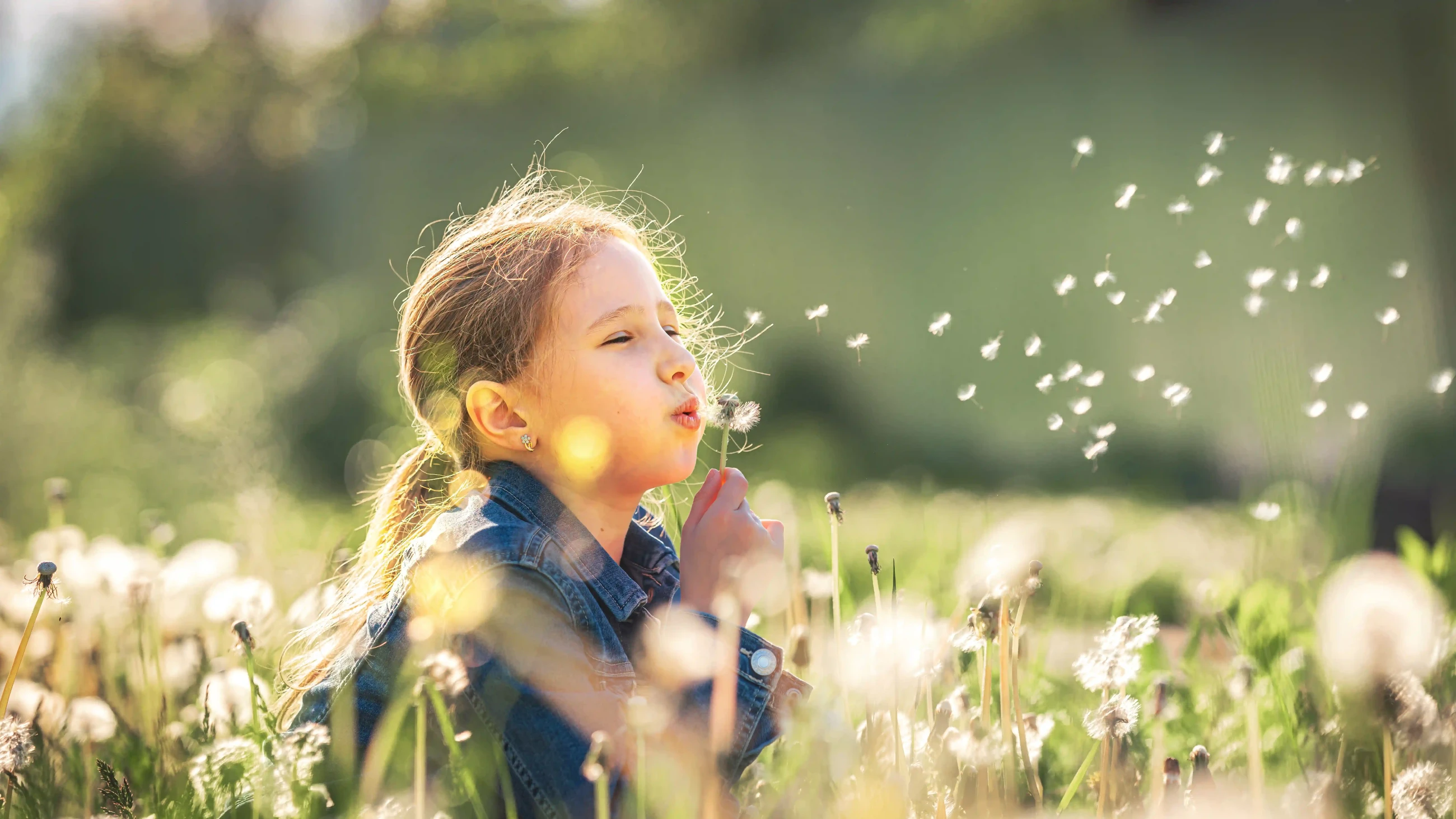 Benessere delle vie respiratorie